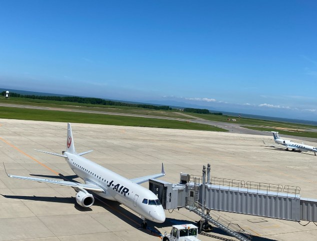 家族旅行で訪れた空港の展望デッキから見た飛行機